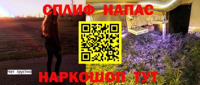 мяу мяу мука Гулькевичи
