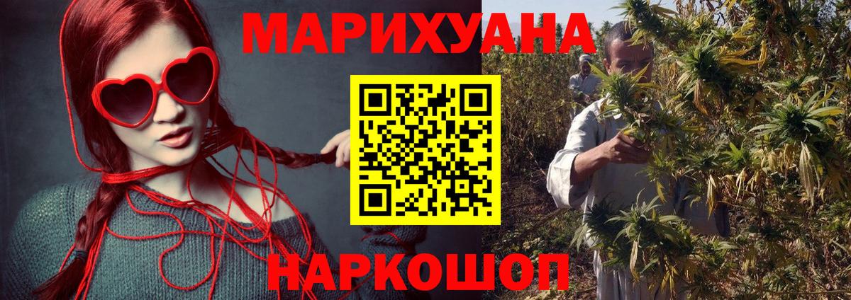 Канабис сатива Черногорск